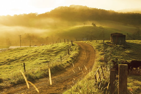The Pioneer Valley And Eungella National Park - Lennox Head Accommodation 2