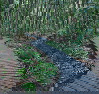 The Channon Protesters Falls Nimbin and Mount Nardi - Lennox Head Accommodation