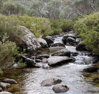 Thredbo River Track - Lennox Head Accommodation