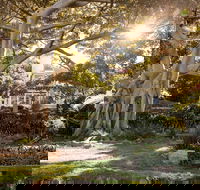 Wendy Whiteley's Secret Garden - Lennox Head Accommodation