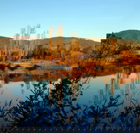 Allan's Flat Reserve - Lennox Head Accommodation