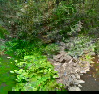 Brindle Creek Picnic Area - Lennox Head Accommodation