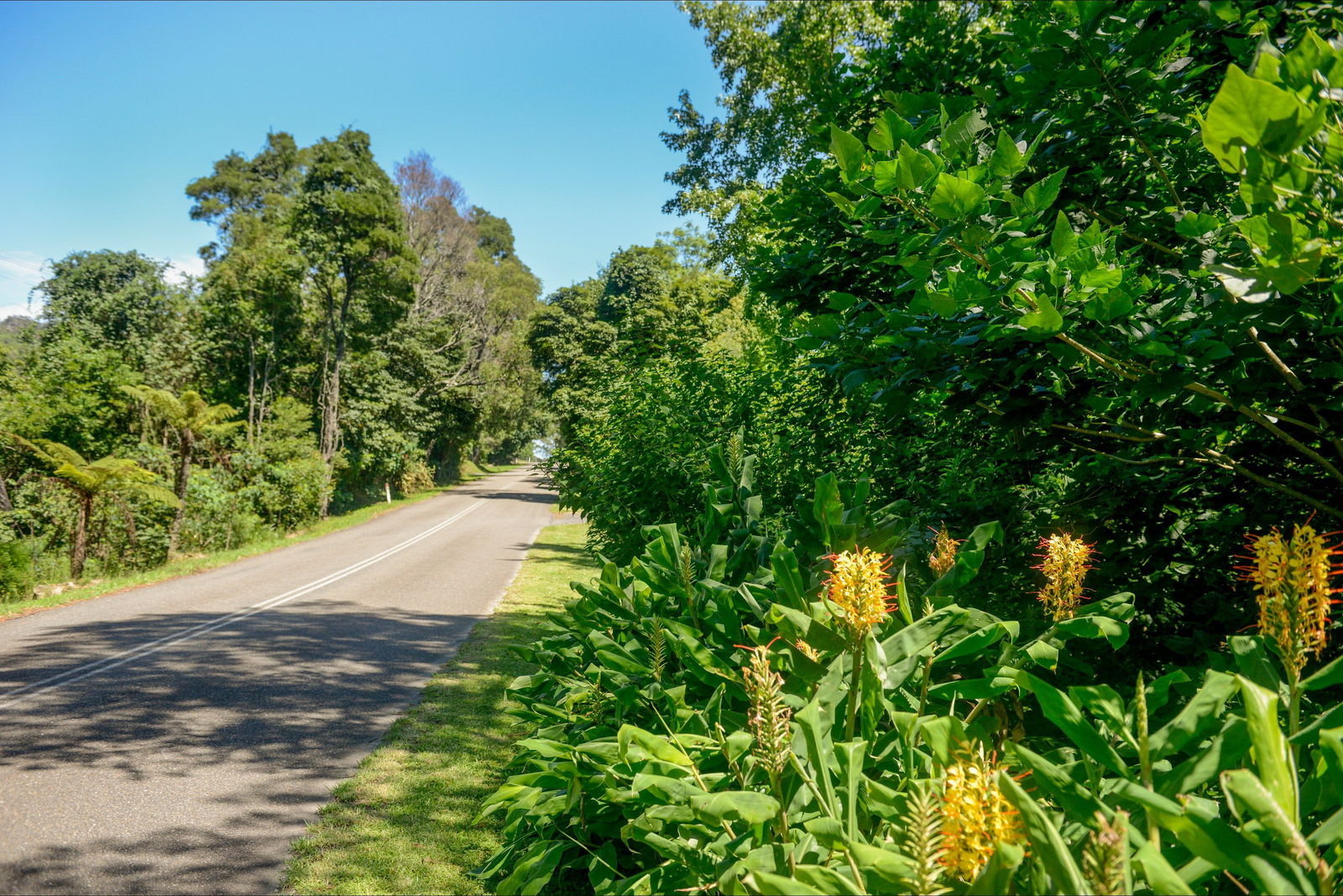 Broughton Vale NSW Lennox Head Accommodation