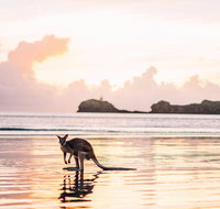 Cape Hillsborough  A Low Tide Fishing Adventure - Lennox Head Accommodation