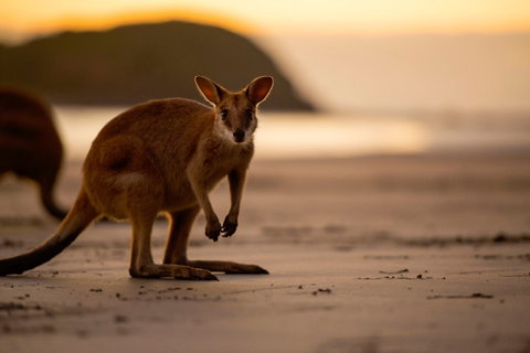 Cape Hillsborough – A Low Tide Fishing Adventure - Lennox Head Accommodation 1