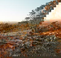 Chick Hill Walk - Lennox Head Accommodation