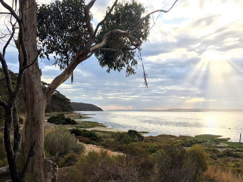 Fish Cannery Walking Trail - Lennox Head Accommodation 0