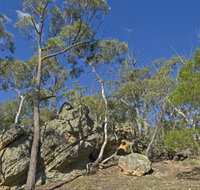 Green track - Lennox Head Accommodation