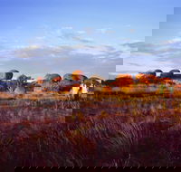 Karlu Karlu / Devils Marbles Conservation Reserve - Lennox Head Accommodation