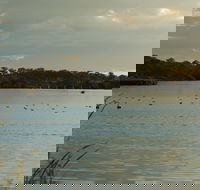 Lake Inverell Reserve - Lennox Head Accommodation