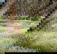 Leaghur State Park - Lennox Head Accommodation