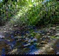 Nambucca Valley - Lennox Head Accommodation