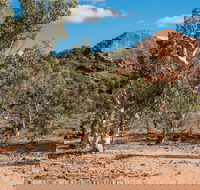 Old Coach Road Drive - Lennox Head Accommodation