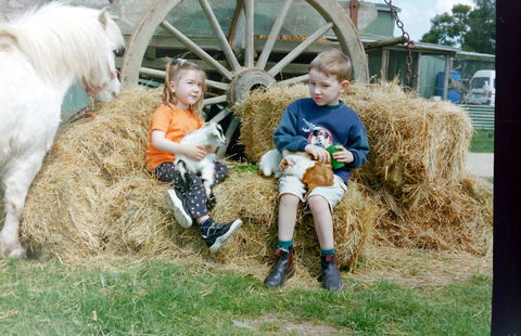Rain Hayne And Shine Farmyard - Lennox Head Accommodation 0