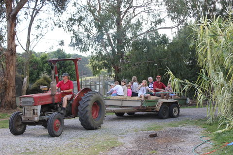 Rain Hayne And Shine Farmyard - Lennox Head Accommodation 1