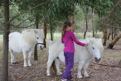 Rain Hayne And Shine Farmyard - Lennox Head Accommodation 2