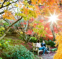 The Blue Mountains Botanic Garden Mount Tomah
