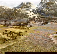 Thredbo River picnic area - Lennox Head Accommodation