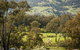 Trawool Valley - thumb 0