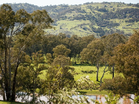 Trawool Valley - Lennox Head Accommodation 0