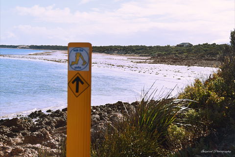 Walk The Yorke Trail - Lennox Head Accommodation 2