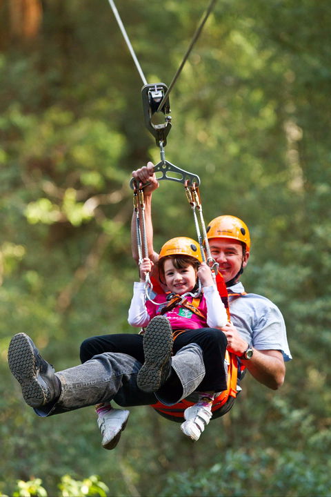 Zipline At Illawarra Fly - Lennox Head Accommodation 0