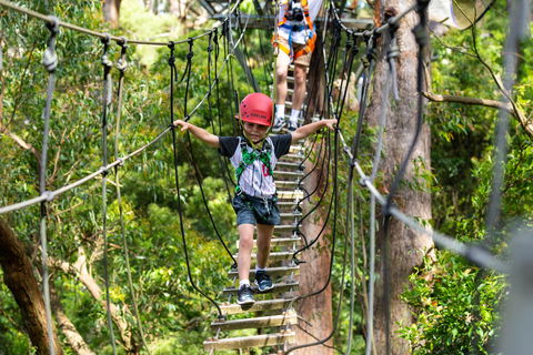 Zipline At Illawarra Fly - Lennox Head Accommodation 1