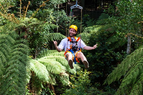 Zipline At Illawarra Fly - Lennox Head Accommodation 2