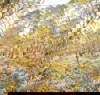 Alpine Views Walk - Lennox Head Accommodation