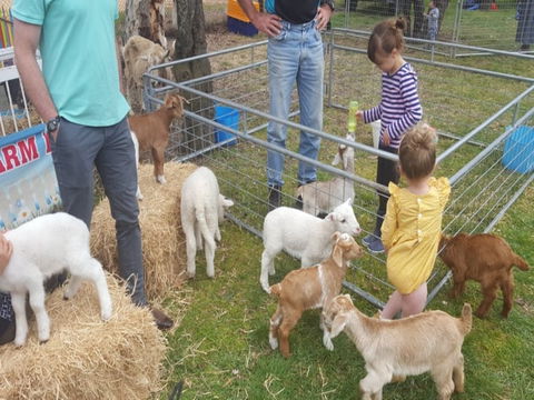 Animal Farm Visit - Lennox Head Accommodation 2