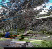 Barrington Tops State Forest - Lennox Head Accommodation