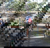 Bidgee Riverside Trail  - Hay Nature Walk - Lennox Head Accommodation