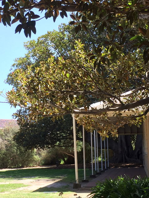 Black Rock House - Lennox Head Accommodation 1