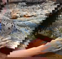 Canberra Reptile Zoo - Lennox Head Accommodation
