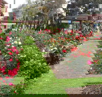 Cowra Rose Garden - Lennox Head Accommodation