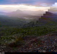 Cunninghams Gap and Spicers Gap Main Range National Park - Lennox Head Accommodation