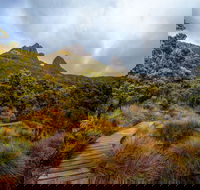 Dove Lake - Lennox Head Accommodation