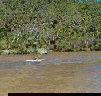 Fitzpatrick Park - Lennox Head Accommodation