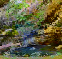 Glimpse of the Outback 5 Day Tour - Roma and Surrounds - Lennox Head Accommodation