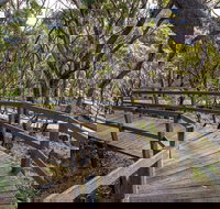 Governor Summit Corrunbral Borawah Walking Track - Lennox Head Accommodation