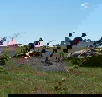 Jim Salmon  Wetland Education Site - Lennox Head Accommodation