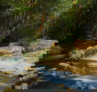 Jumrum Creek Walk Jumrum Creek Conservation Park - Lennox Head Accommodation