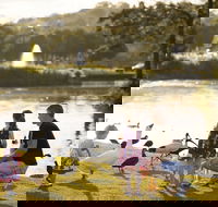 Lake Alford Recreational Park - Lennox Head Accommodation