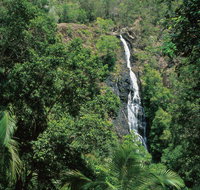 Mapleton Falls National Park - Lennox Head Accommodation