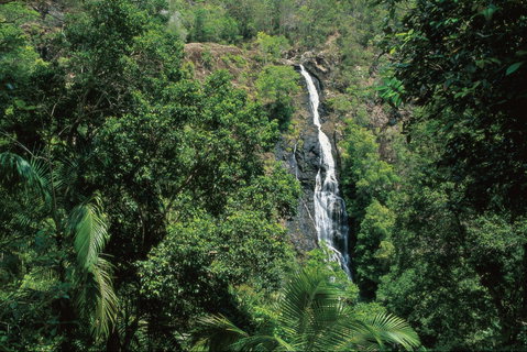 Mapleton Falls National Park - Lennox Head Accommodation 0