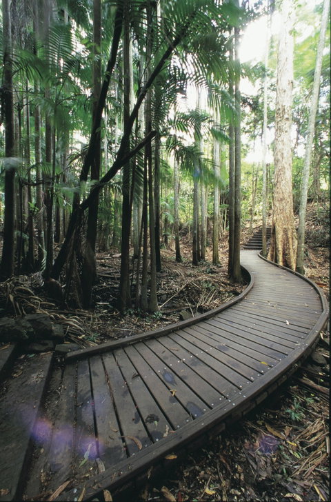 Mapleton Falls National Park - Lennox Head Accommodation 1