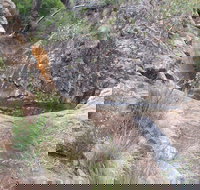 Mill-bullah Walking Track - Lennox Head Accommodation