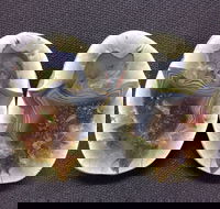 Mount Hay Gemstone Tourist Park - Lennox Head Accommodation