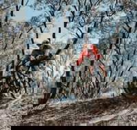 Mountain Bike Trails Deniliquin - Lennox Head Accommodation