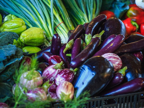 Murwillumbah Farmers' Market - Lennox Head Accommodation 1